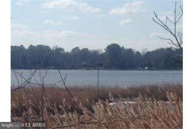 225 Birch Run Road Chestertown, MD 21620 - Photo 5 of 14 View