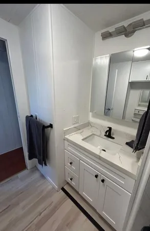 a bathroom with a sink and a mirror