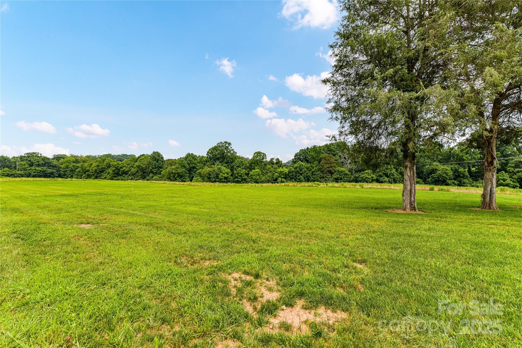 181 Lone Pine Road Statesville, NC 28625 - Photo 36 of 42 a view of a field with tree in front of it
