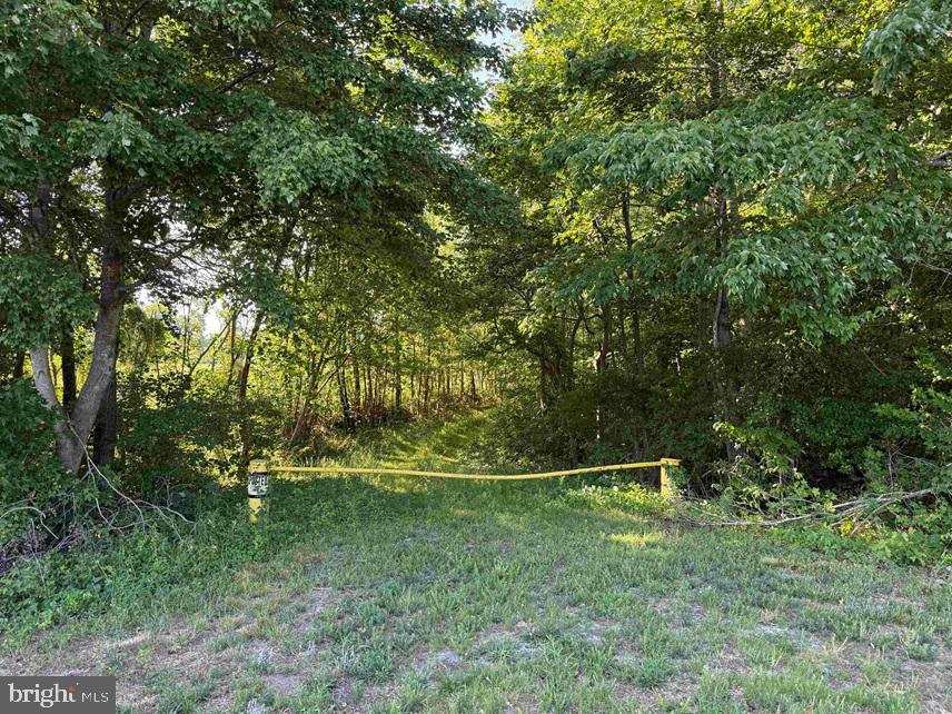 Dodlyt Road Heathsville, VA 22473 - Photo 17 of 19