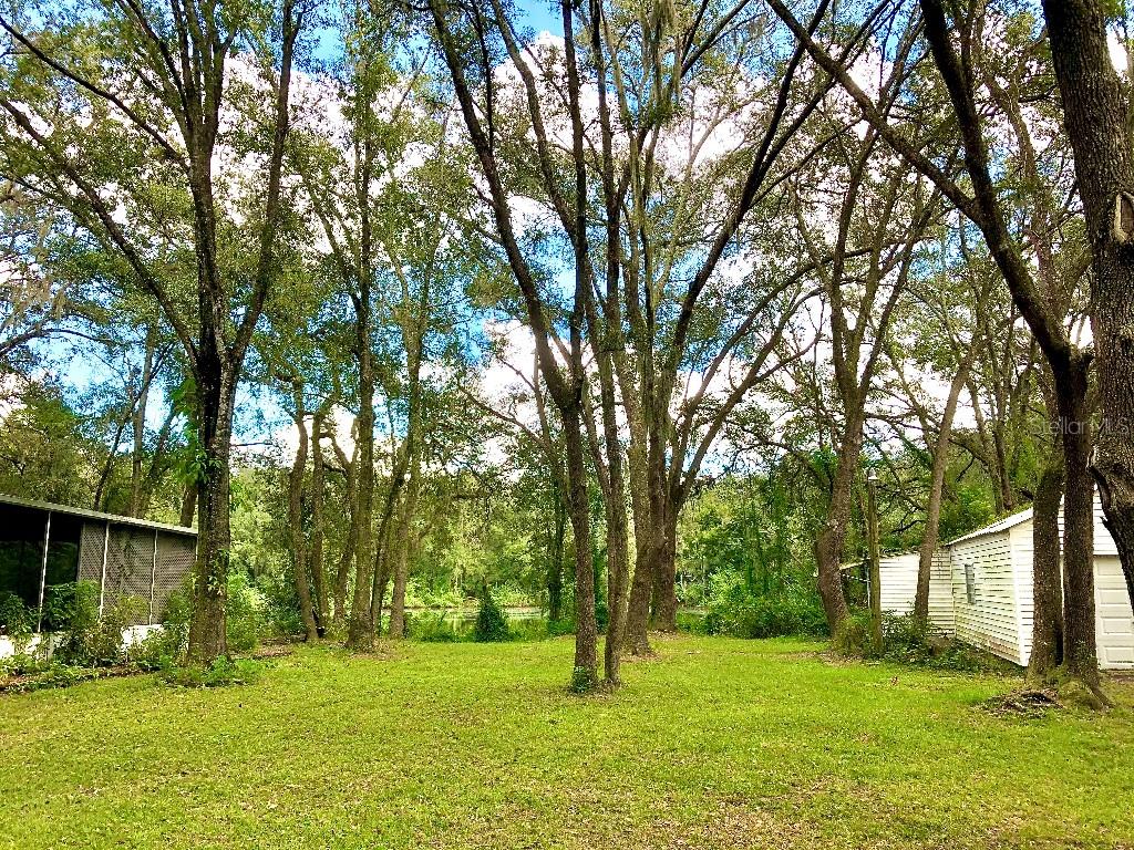 16123 Hanna Road Lutz, FL 33549 - Photo 1 of 1 Gallery Image 1