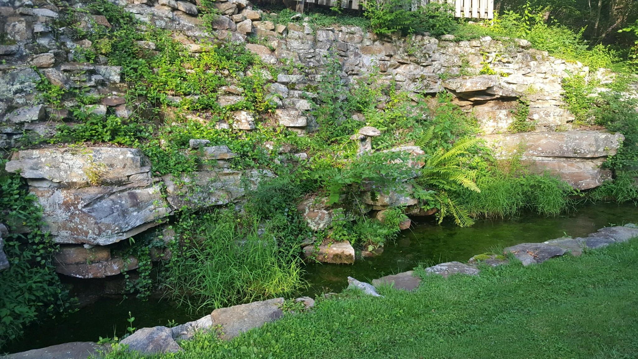 120 Wells Road Crossville, TN 38555 - Photo 16 of 20