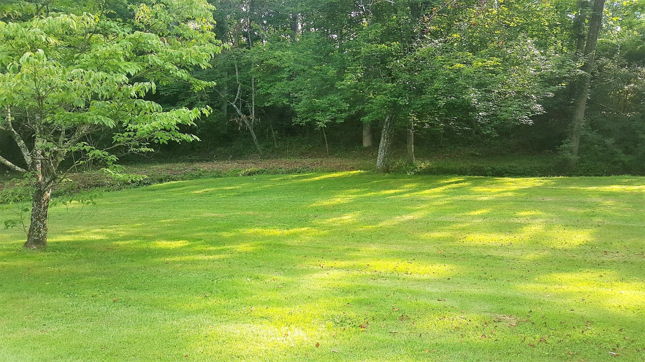 120 Wells Road Crossville, TN 38555 - Photo 17 of 20