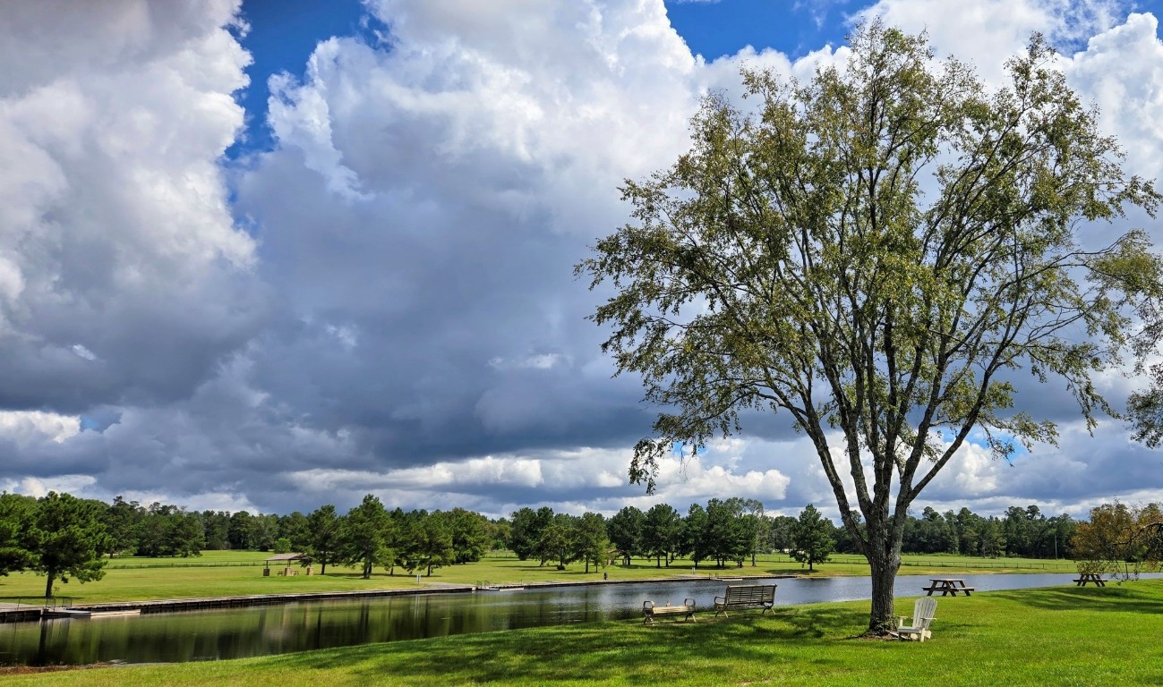 15925 Ridge Oak Road Willis, TX 77378 - Photo 15 of 22 a view of a golf course with a lake