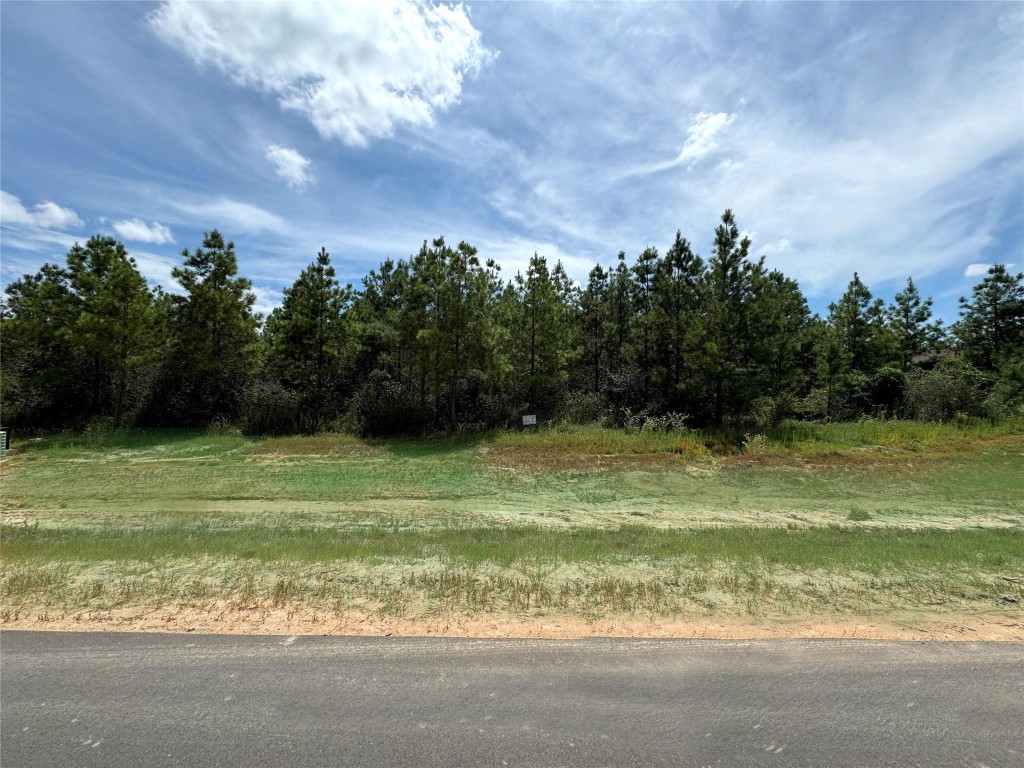 15925 Ridge Oak Road Willis, TX 77378 - Photo 6 of 22 a view of a golf course with a lake
