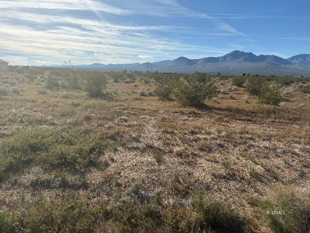 Oriole Street Inyokern, CA 93527 - Photo 4 of 6