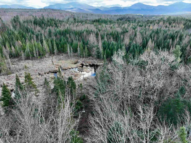 $100,000 | 0 Moose Trail Road, Bethlehem, NH 03574