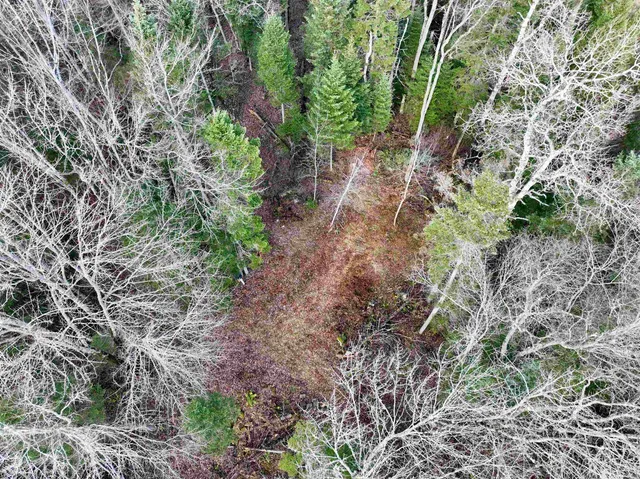 $100,000 | 0 Moose Trail Road, Bethlehem, NH 03574