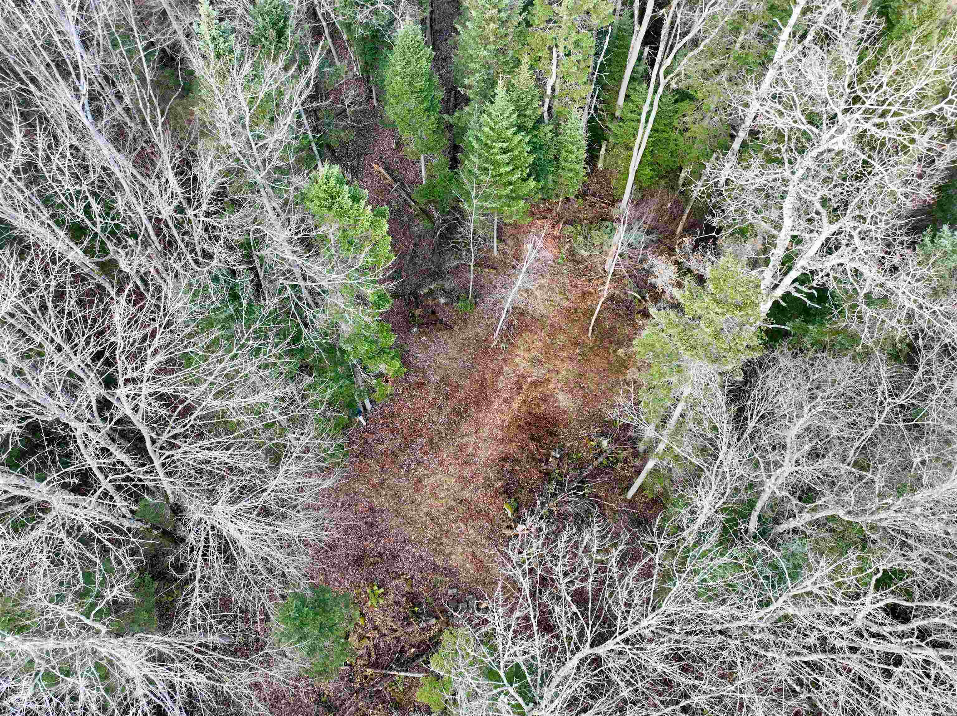 0 Moose Trail Road Bethlehem, NH 03574 - Photo 3 of 8