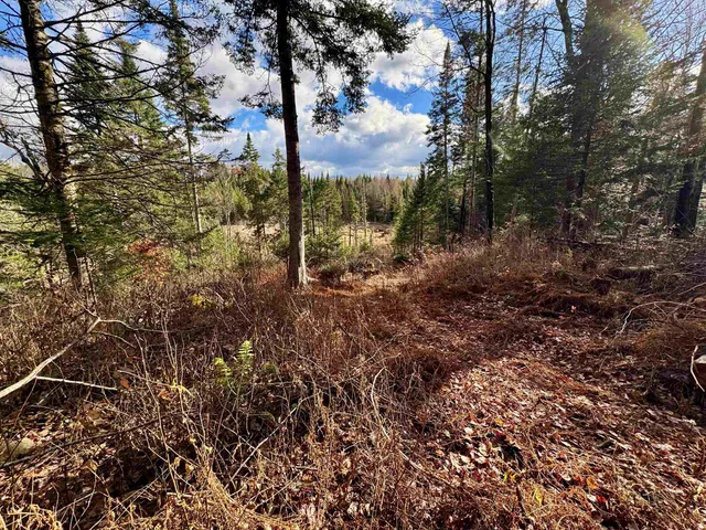 $100,000 | 0 Moose Trail Road, Bethlehem, NH 03574