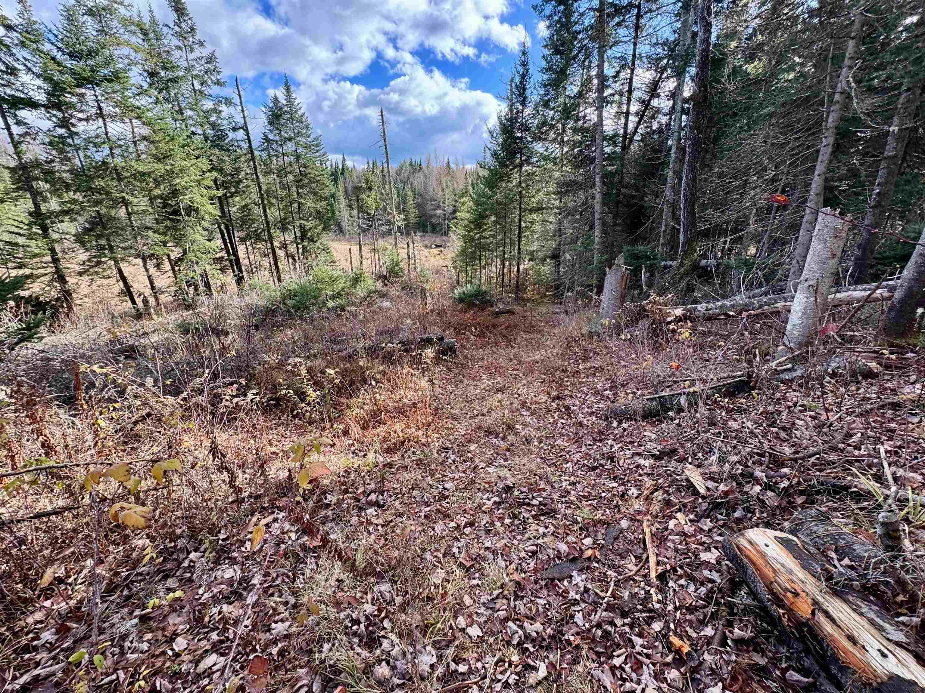 0 Moose Trail Road Bethlehem, NH 03574 - Photo 6 of 8