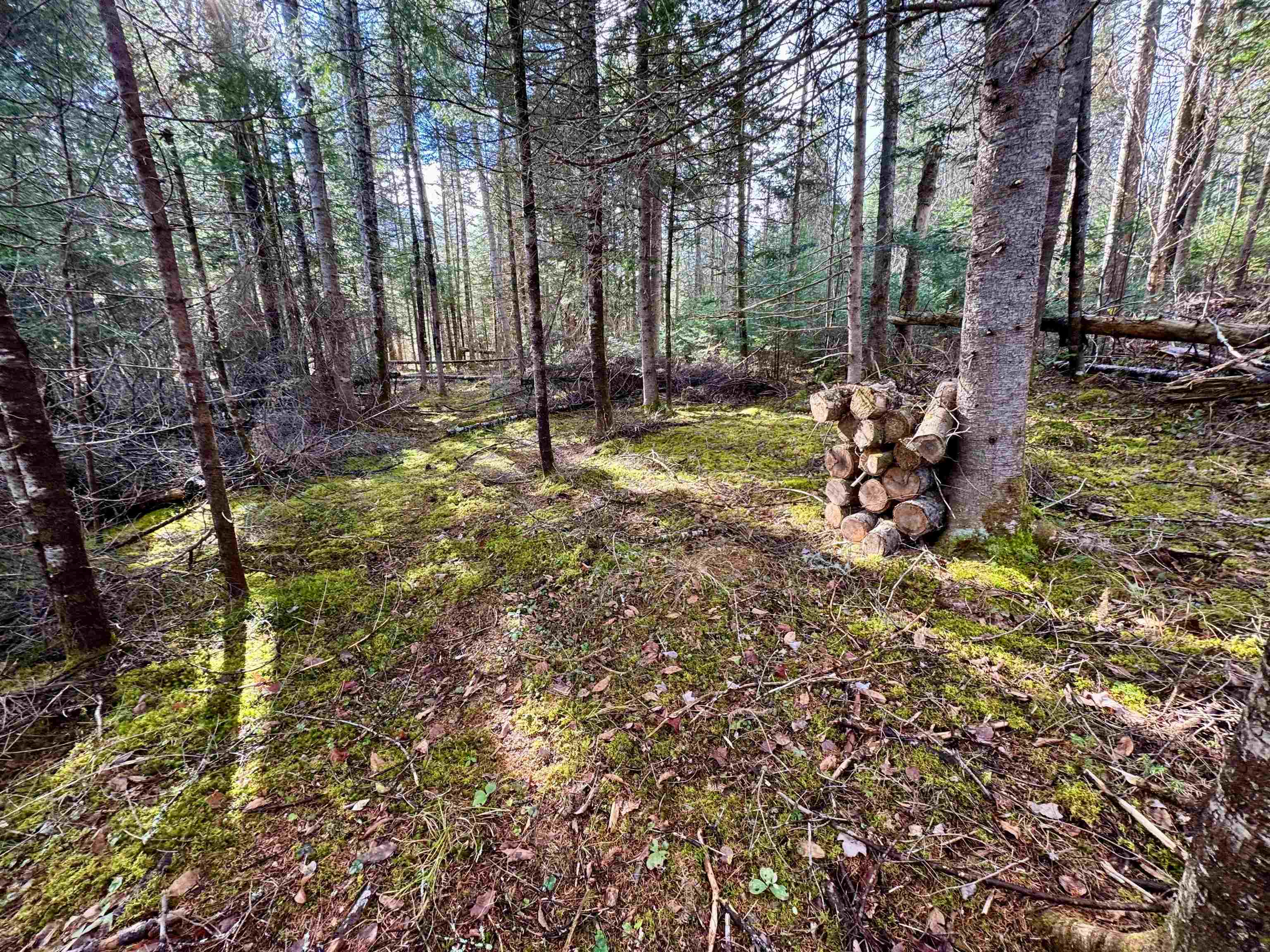 0 Moose Trail Road Bethlehem, NH 03574 - Photo 7 of 8