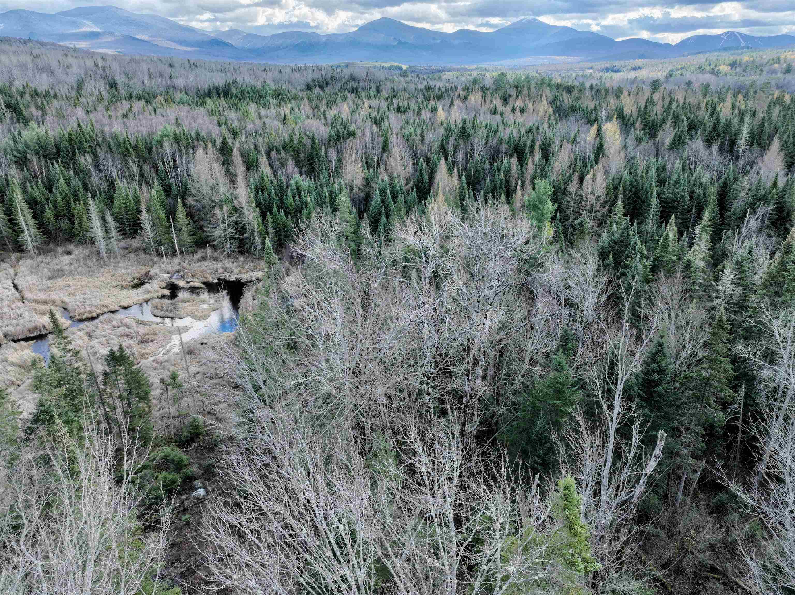 0 Moose Trail Road Bethlehem, NH 03574 - Photo 8 of 8