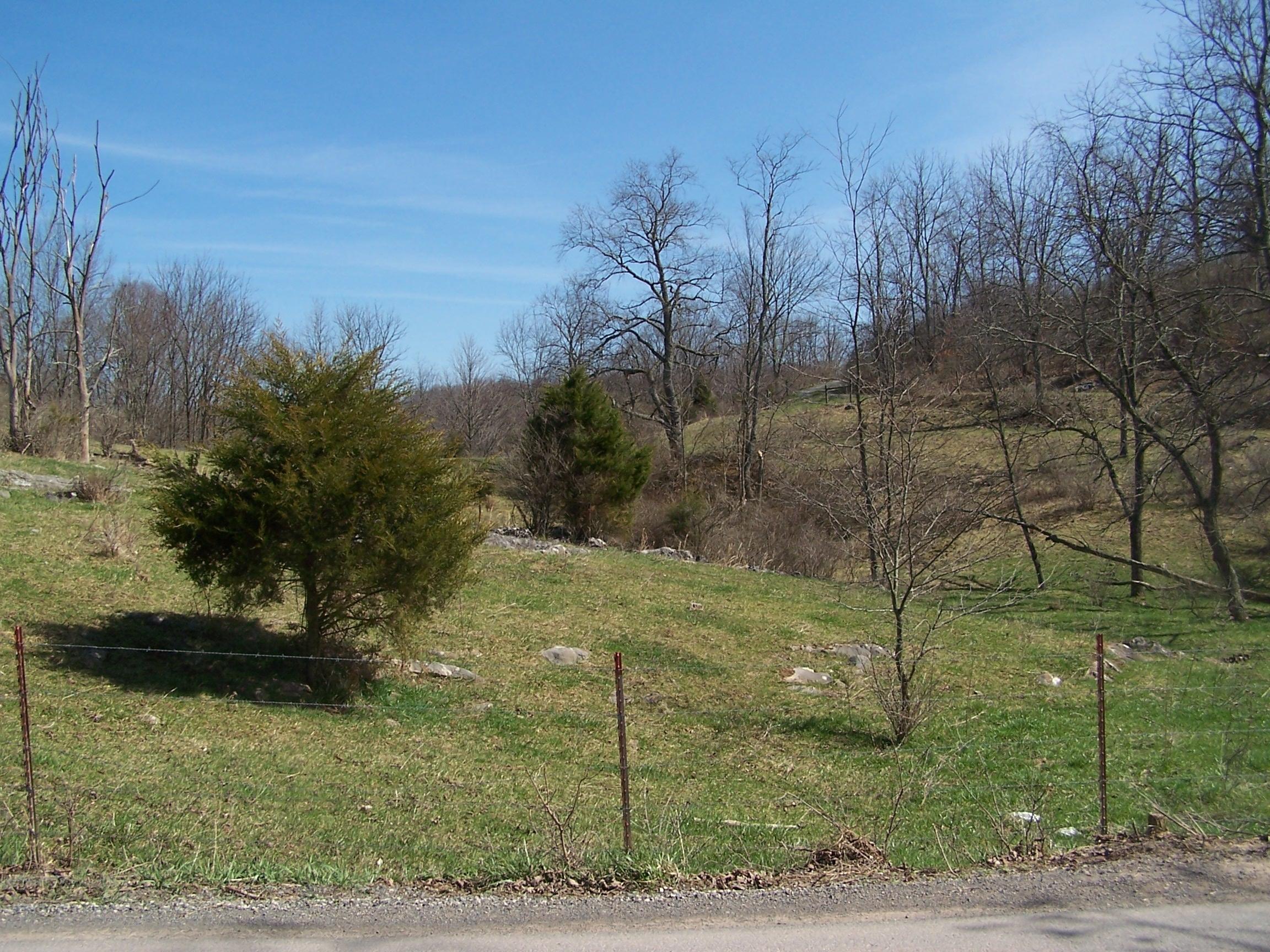 2 Nickell Mill Road Sinks Grove, WV 24976 - Photo 3 of 7 Gallery Image 3