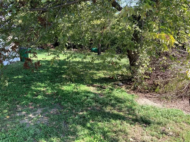 a plant view in yard