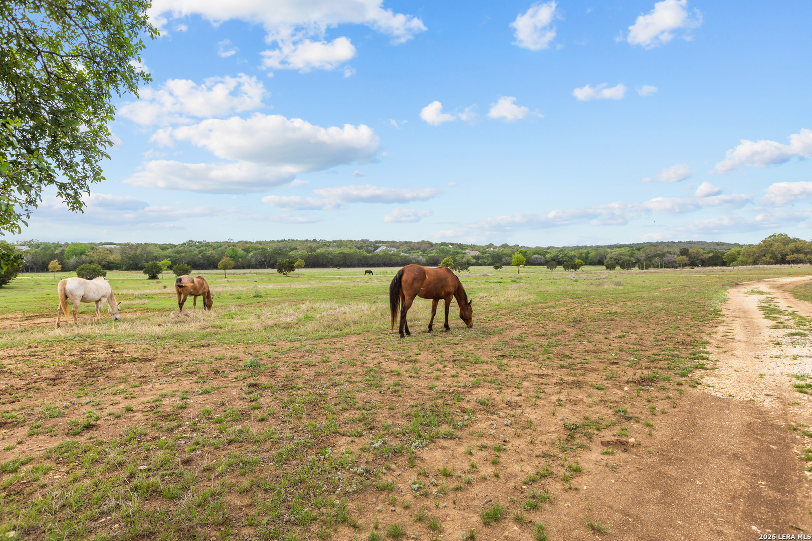 1280 Stoney Ridge Road Bulverde, TX 78163 - Photo 32 of 43 a view of a lake with an outdoor space