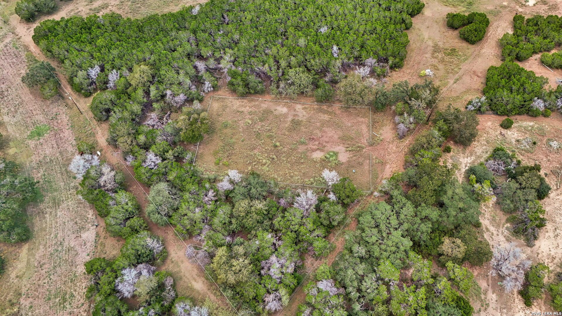 1280 Stoney Ridge Road Bulverde, TX 78163 - Photo 35 of 43 a view of a forest with a tree