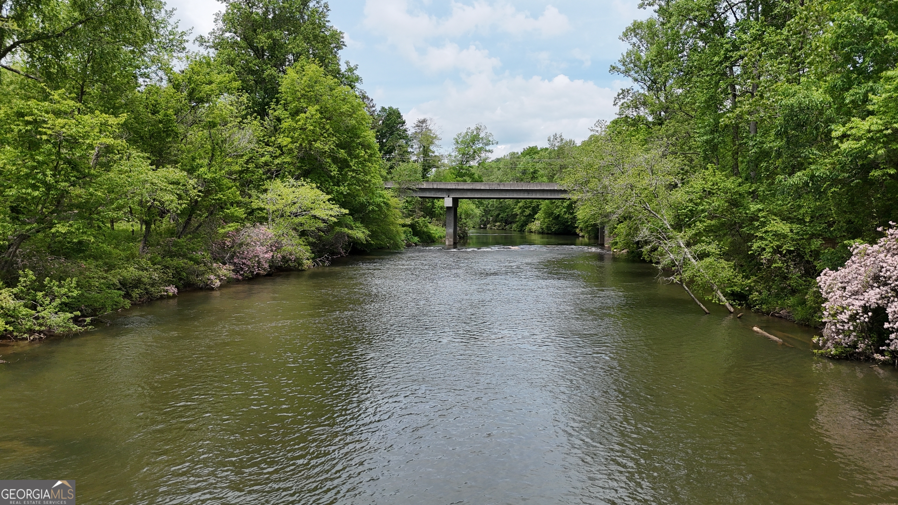 0 Highway 115 East Cleveland, GA 30528 - Photo 11 of 12