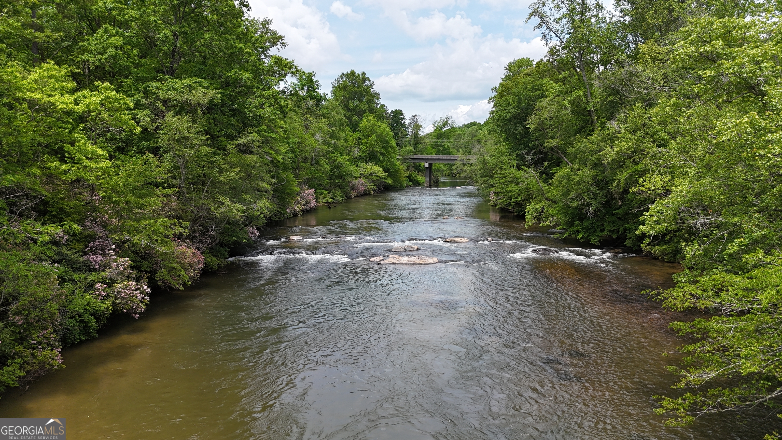 0 Highway 115 East Cleveland, GA 30528 - Photo 12 of 12