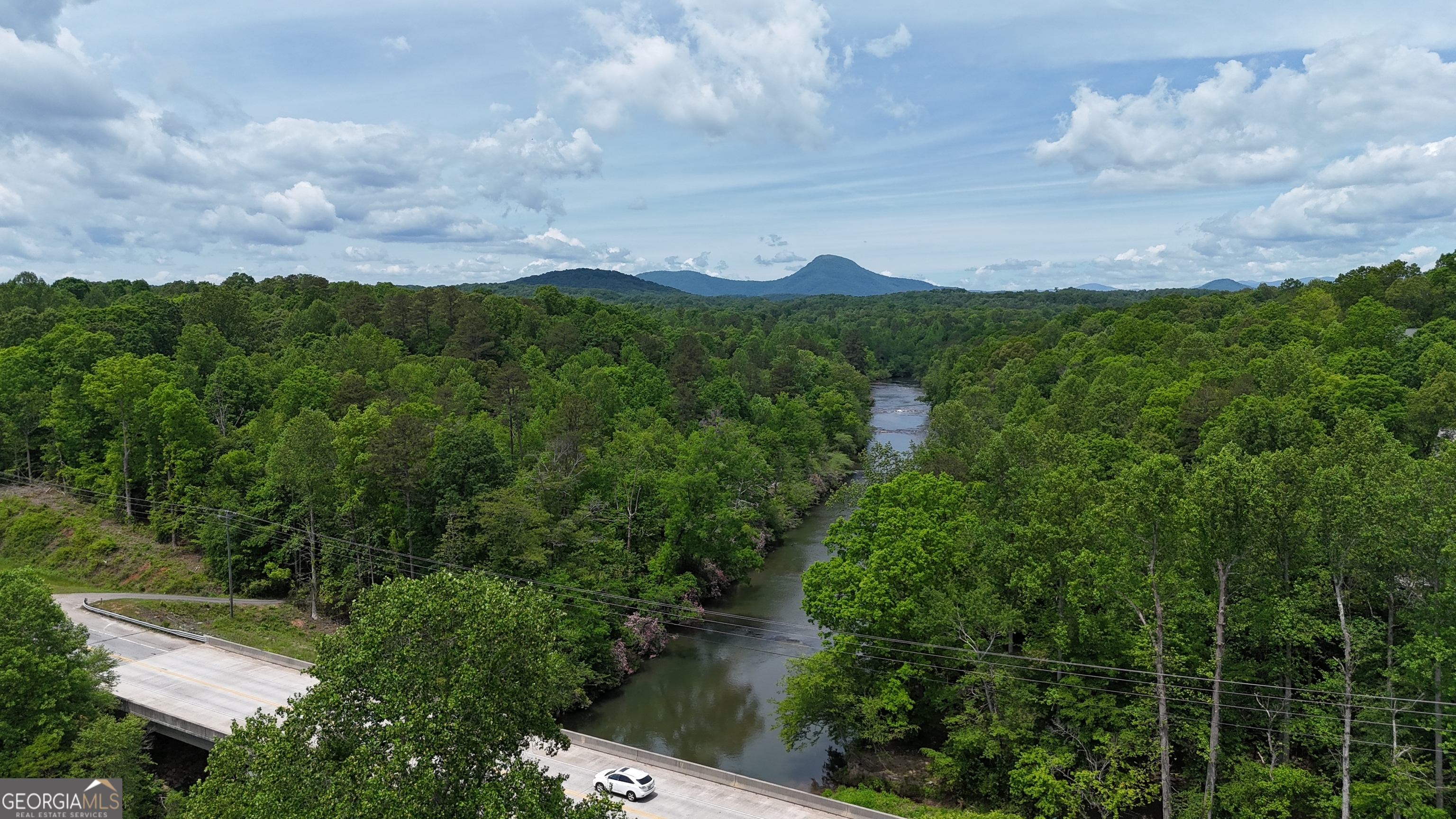 0 Highway 115 East Cleveland, GA 30528 - Photo 9 of 12