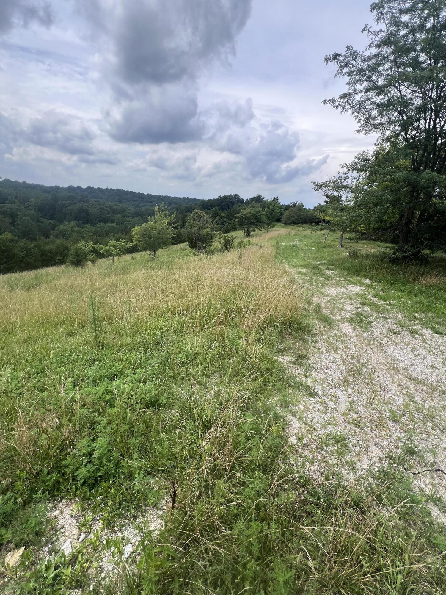 283 Jacobs Road Butler, KY 41006 - Photo 7 of 20