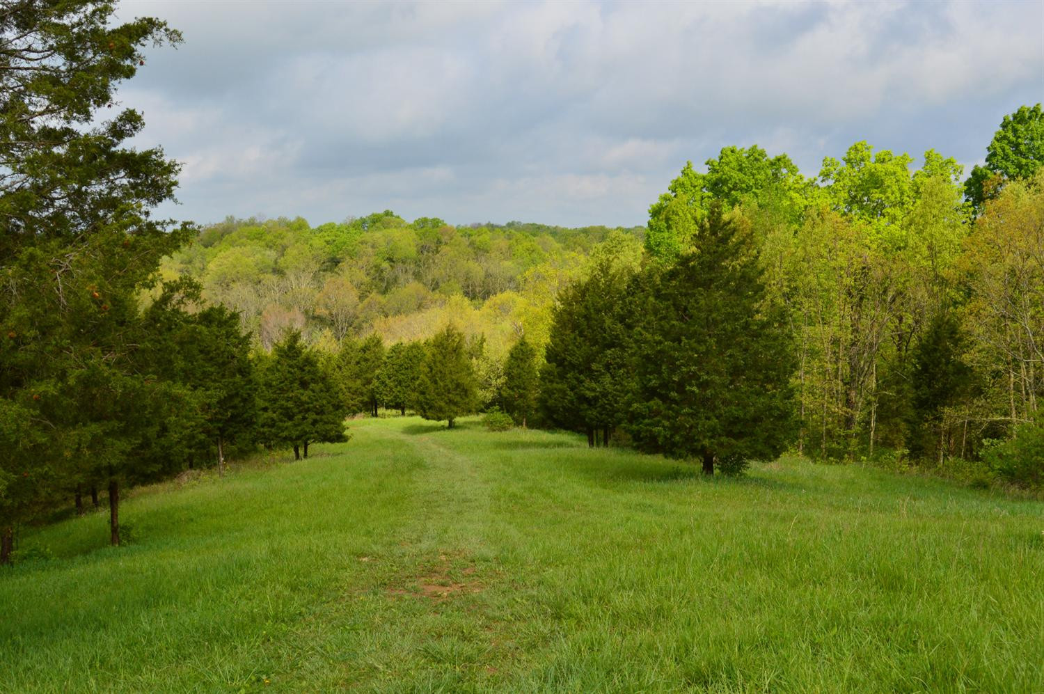 1120 Swope Road Owenton, KY 40359 - Photo 16 of 21 Gallery Image 16