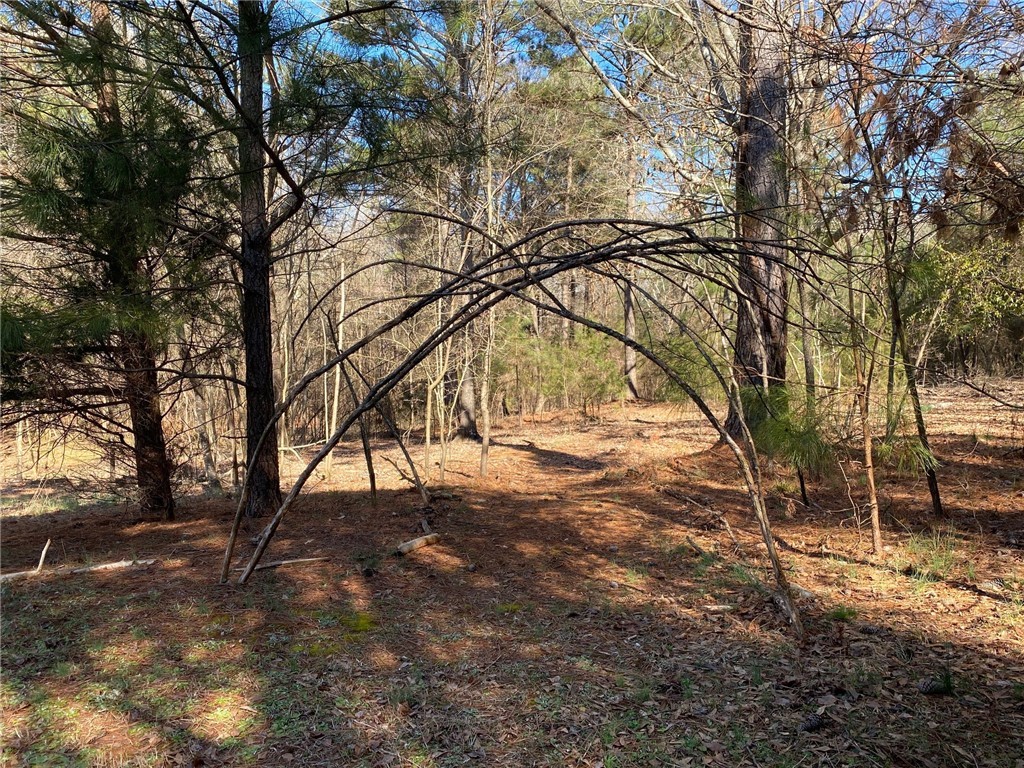 216 Deer Run Road Anderson, SC 29626 - Photo 35 of 45 Gallery Image 35
