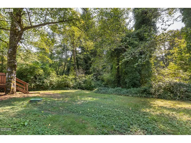 a view of outdoor space with trees all around