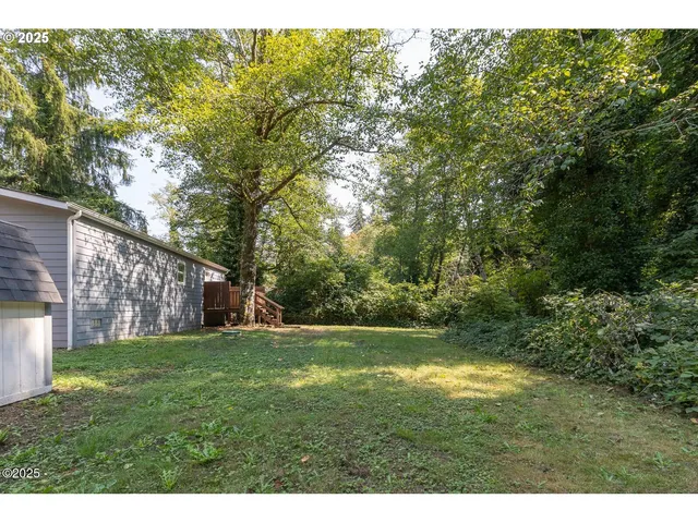a view of a yard with a tree