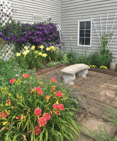 a view of a garden with an outdoor space