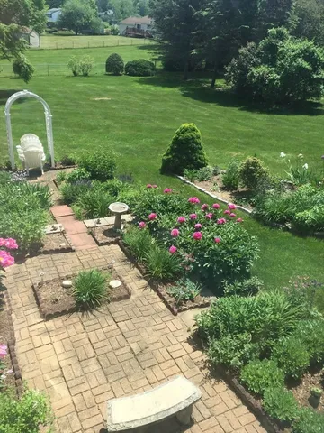a view of a garden with potted plants