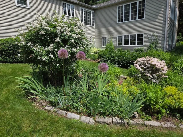 a garden with trees in front of it