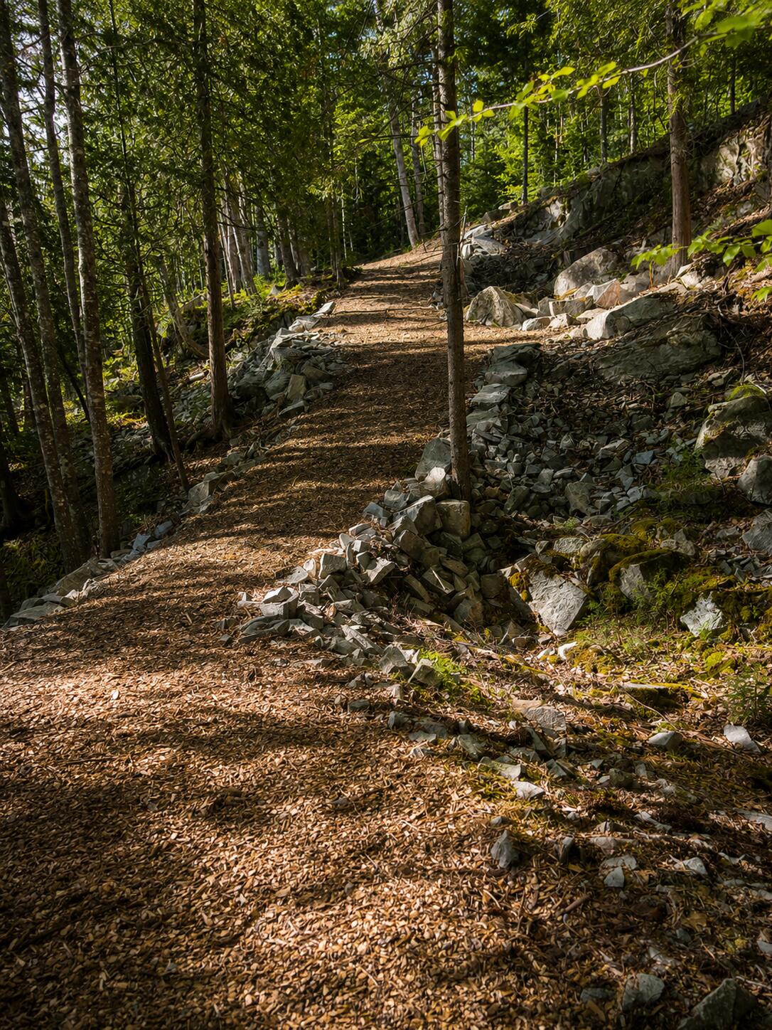 62 York Road Blue Hill, ME 04614 - Photo 57 of 65 733E35C3-78B8-4F69-B02F-69FE549F1D30