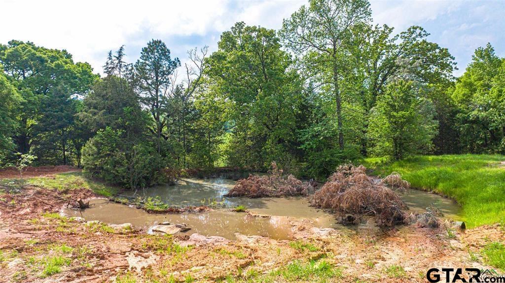 4119 McCann Road Longview, TX 75605 - Photo 15 of 16 a view of a tree with a yard