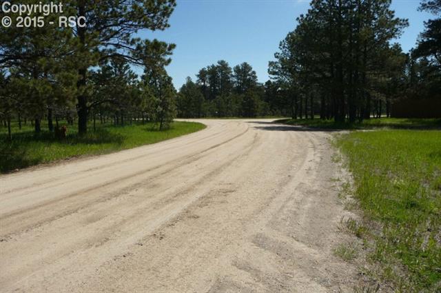 18145 Cumbres Road Peyton, CO 80831 - Photo 3 of 30 Gallery Image 3