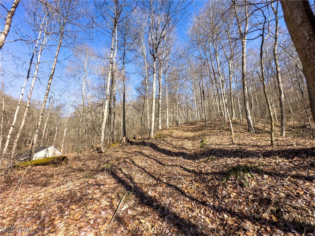47562 Pratts Run Road Clarington, OH 43915 - Photo 45 of 49 View of local wilderness