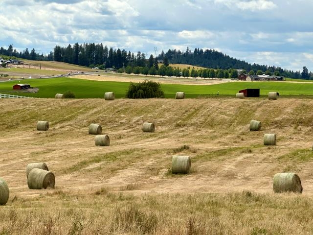 11300 North Bruce Road Spokane, WA 99217 - Photo 17 of 31 Gallery Image 17