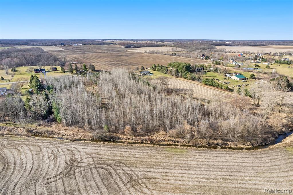 9252 Ray Road Gaines, MI 48436 - Photo 4 of 5