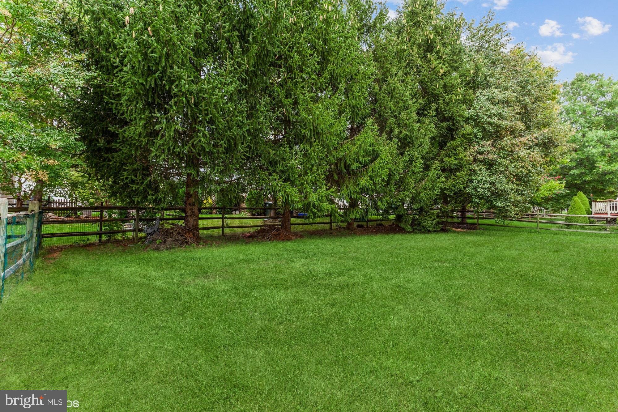 1762 Castle Rock Road Frederick, MD 21701 - Photo 34 of 39 Level tree lined back yard