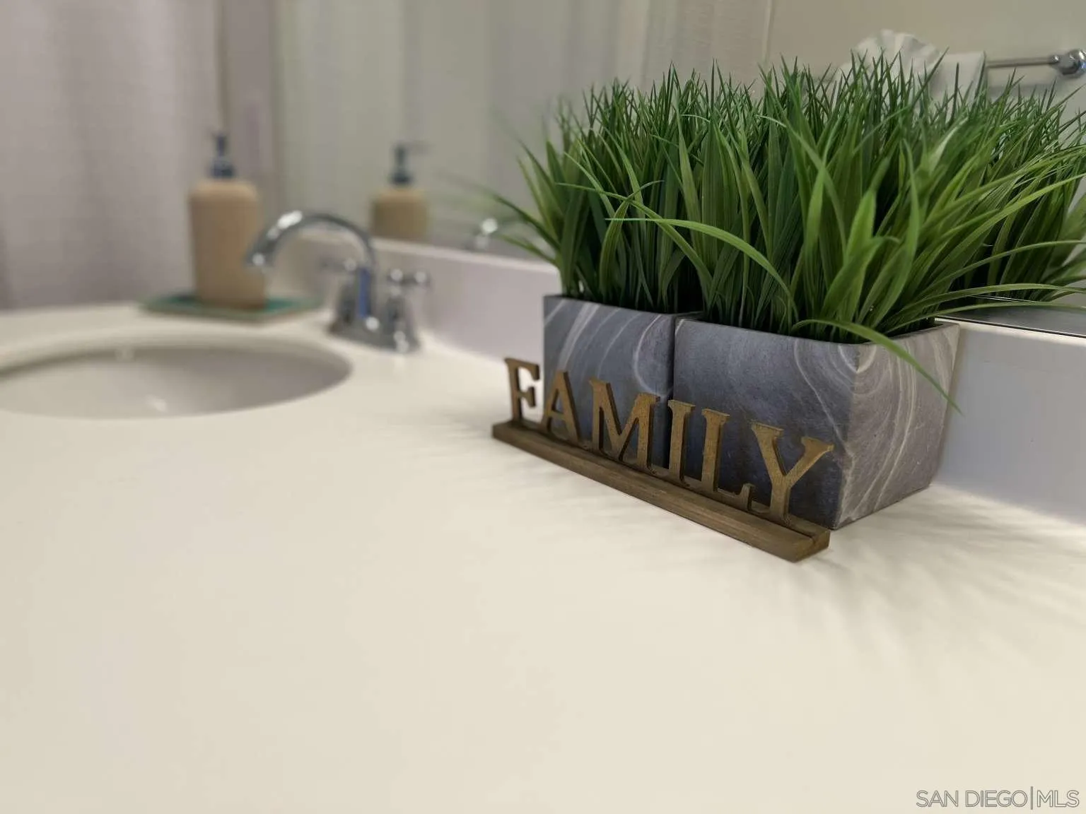362 Borden Road San Marcos, CA 92069 - Photo 16 of 23 a bathroom with a potted plant and a sink