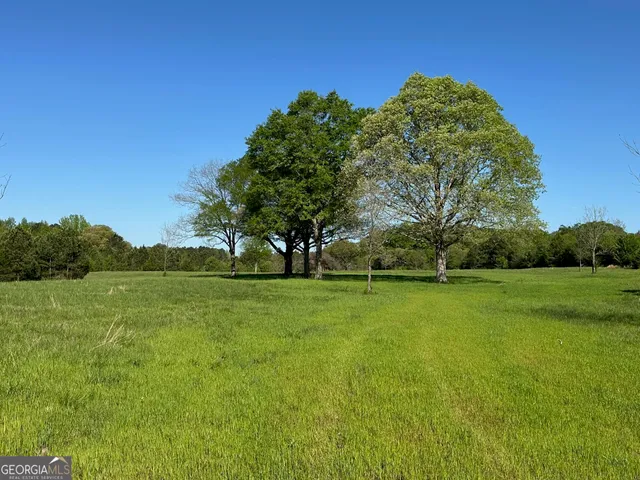 a view of a field of grass and trees