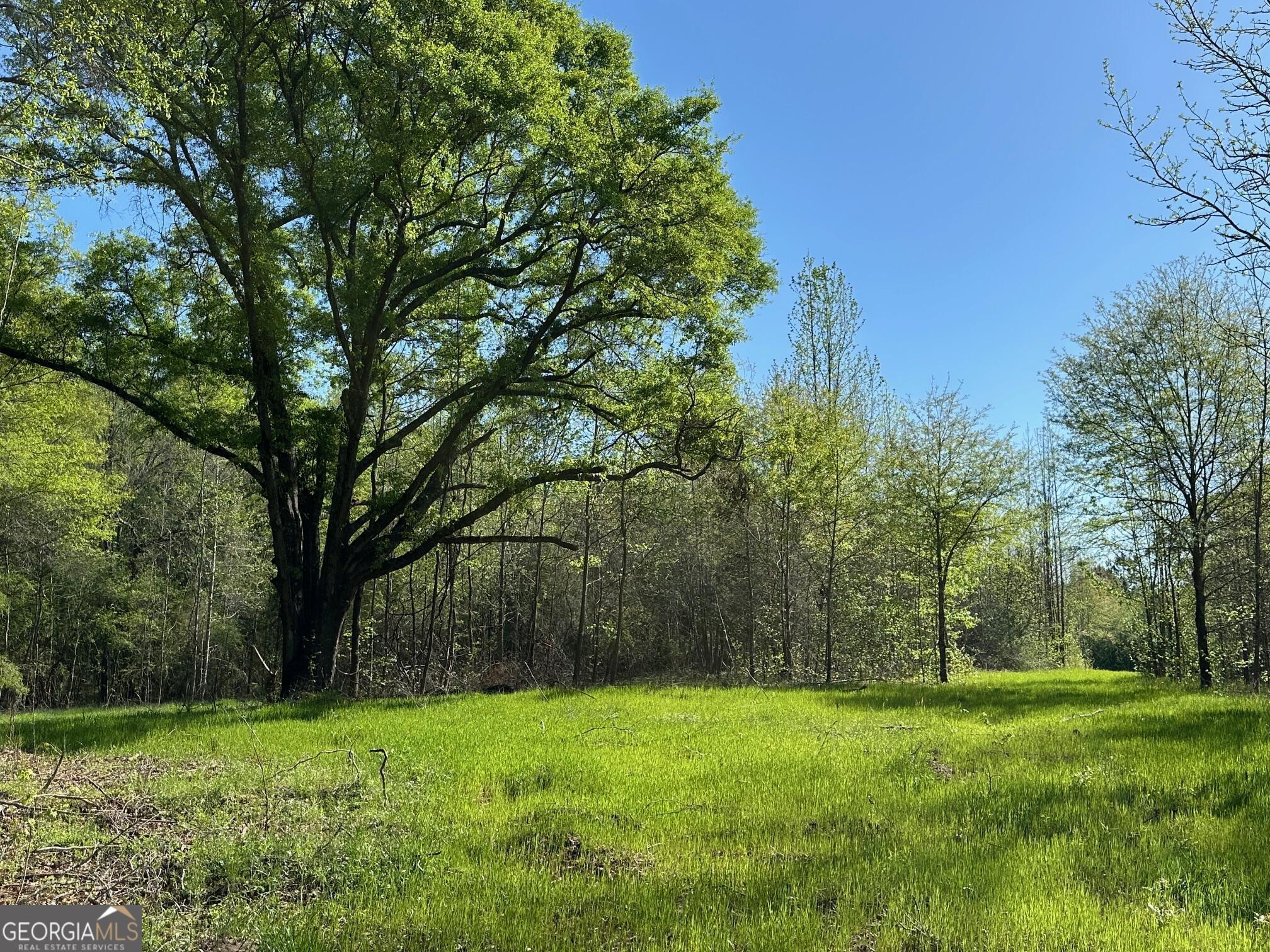 0 West Road Williamson, GA 30292 - Photo 11 of 13 a view of a grassy field with trees in the background