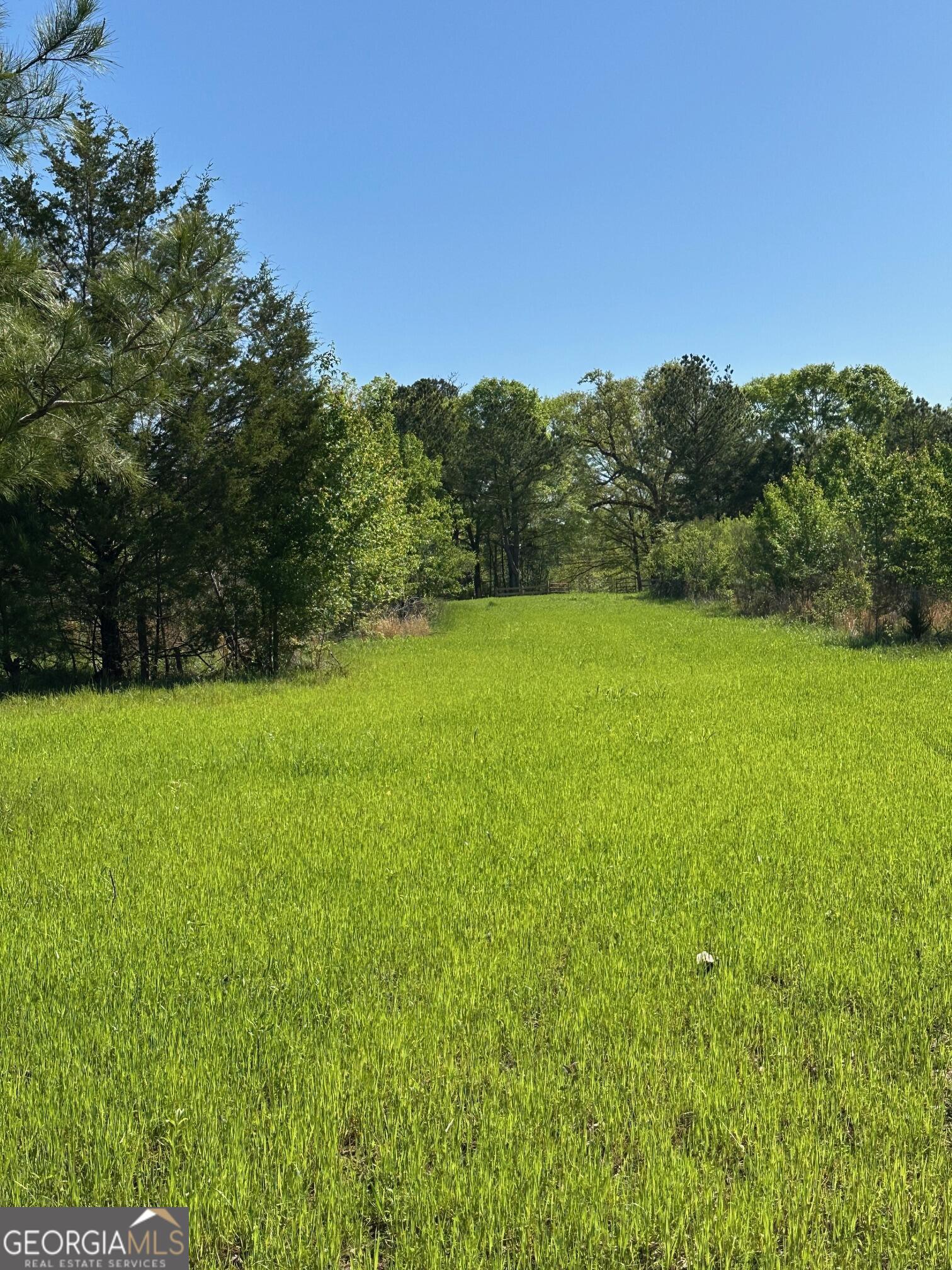 0 West Road Williamson, GA 30292 - Photo 2 of 13 a view of field with tall trees