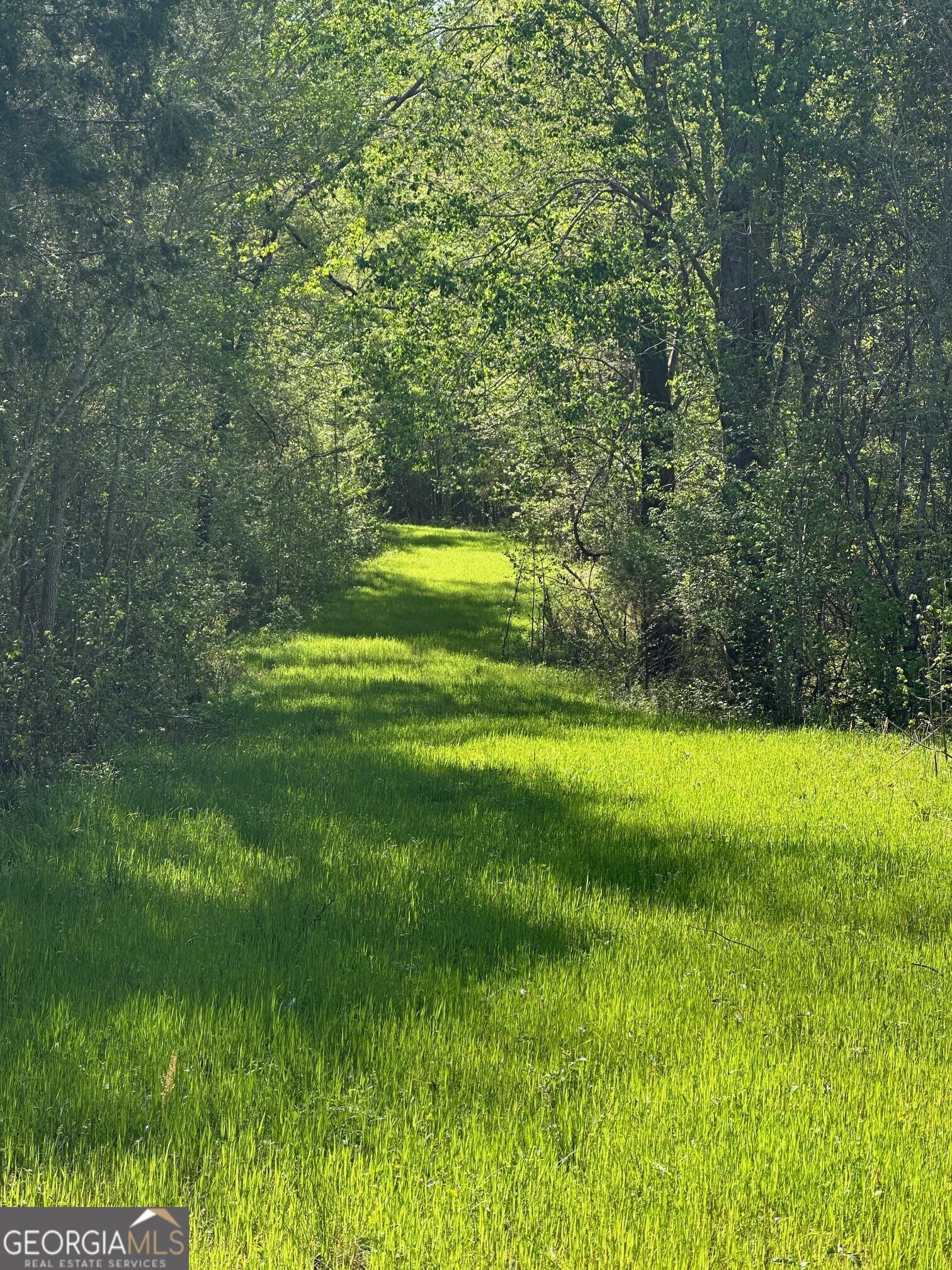 0 West Road Williamson, GA 30292 - Photo 3 of 13 a view of a big yard with large trees