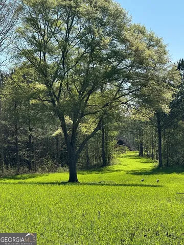a view of a big yard with large trees
