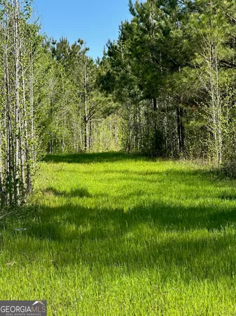 a view of a grassy field with trees in the background