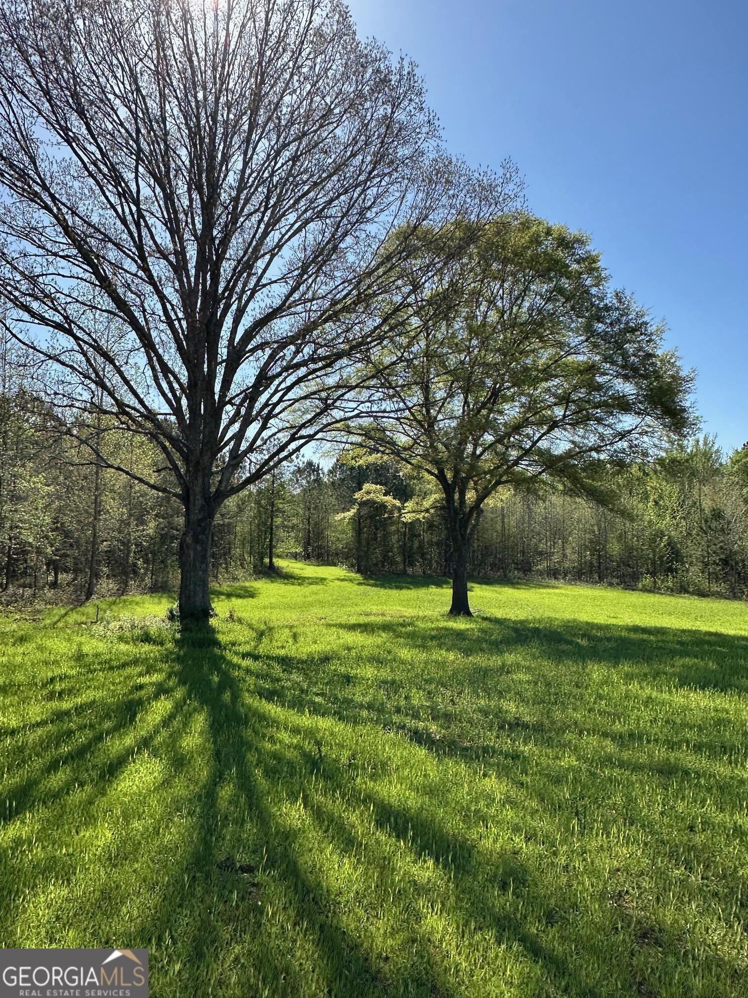 0 West Road Williamson, GA 30292 - Photo 7 of 13 a big yard with lots of green space and trees