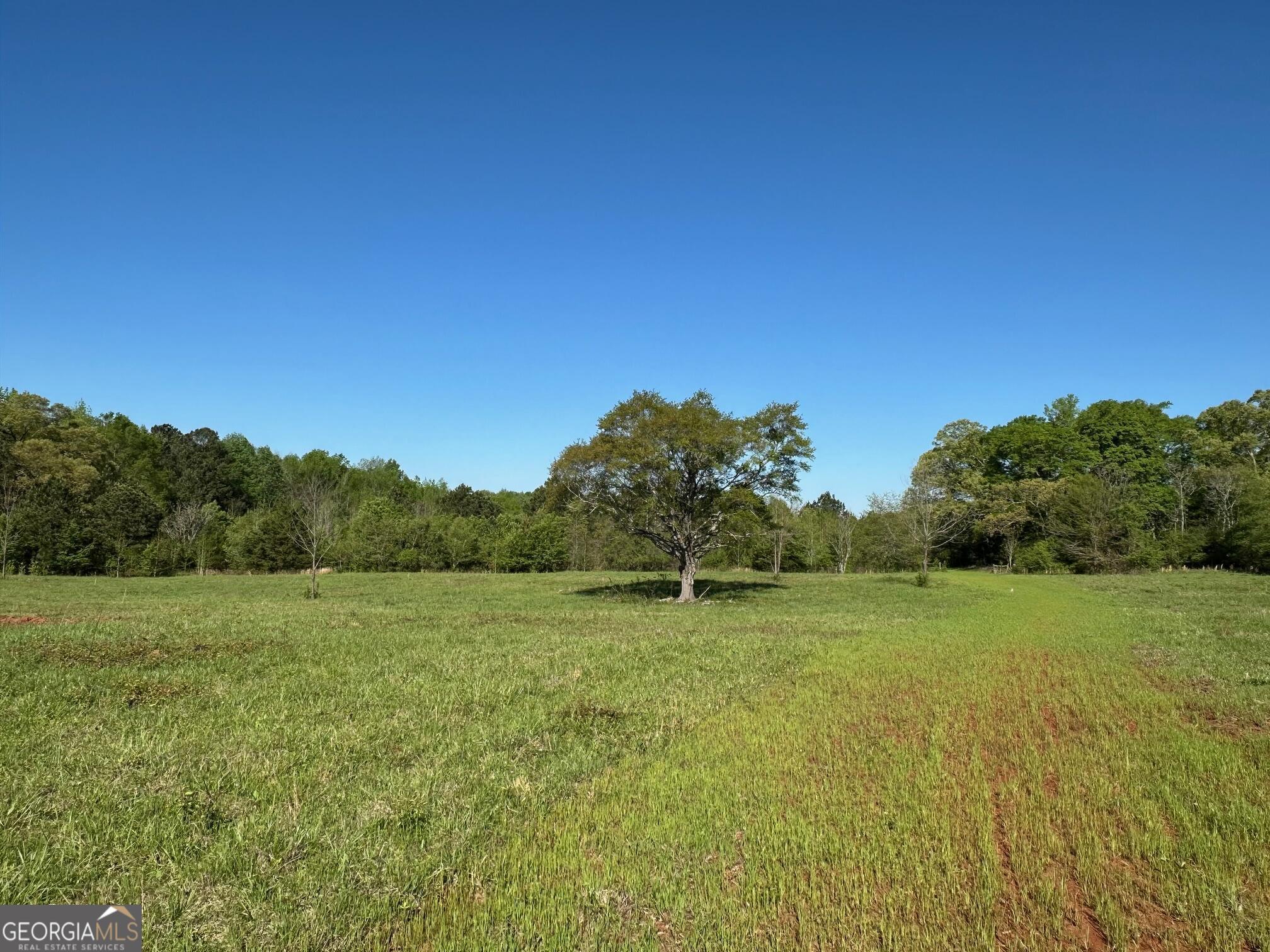 0 West Road Williamson, GA 30292 - Photo 10 of 13 a view of a field with an trees