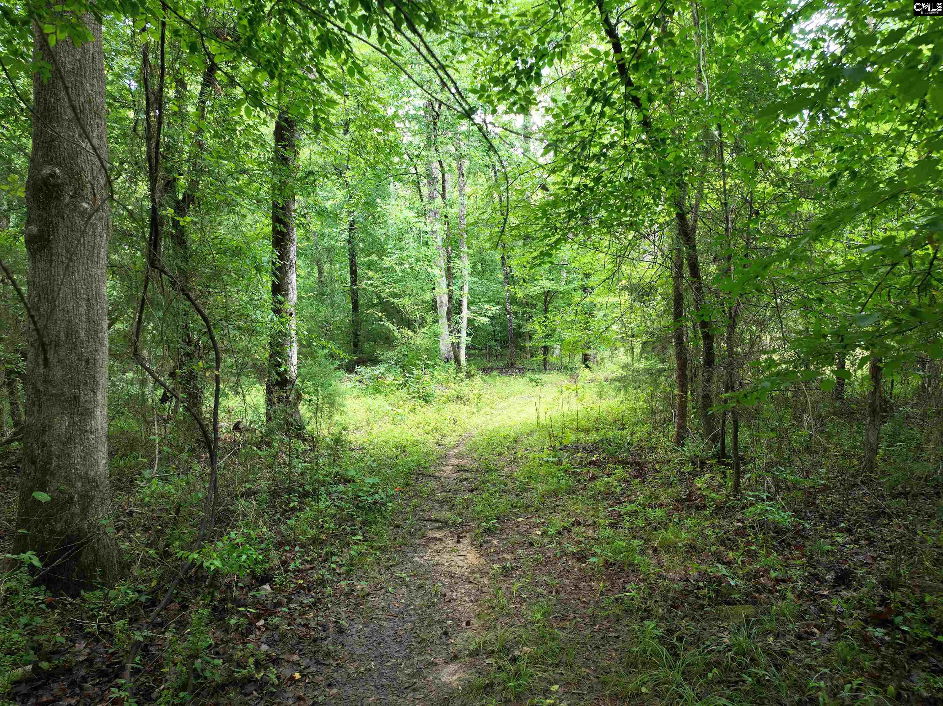 0 Rocky Branch Road Little Mountain, SC 29075 - Photo 5 of 24 a view of outdoor space and trees all around