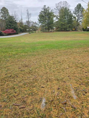 a view of a yard with an trees